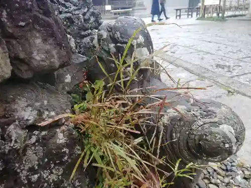 菊田神社の狛犬