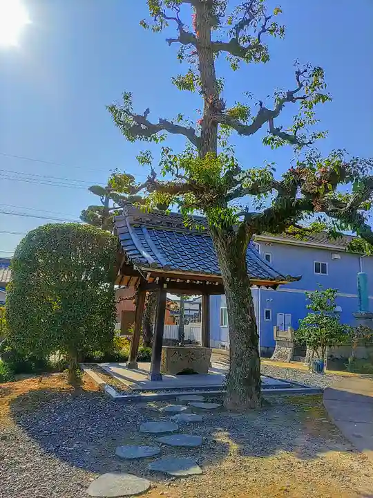 円長寺の手水舎