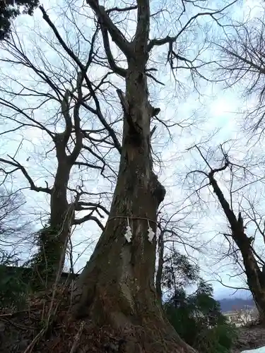 飯笠山神社(長野県)