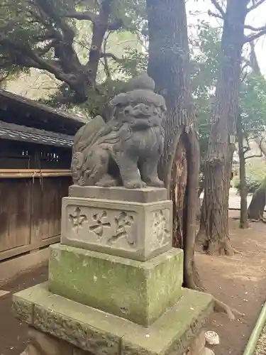 ときわ台天祖神社の狛犬