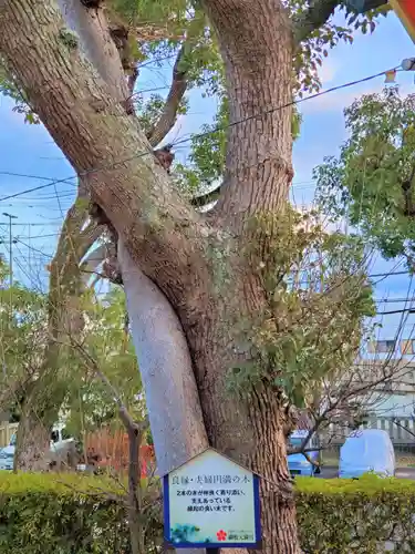 綱敷天満宮の自然