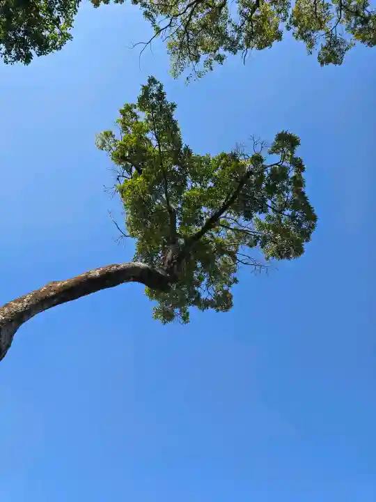 福良天満宮の{uncategorized: "未分類", other: "その他", undefined: "問題あり", building: "その他建物", grave: "お墓", sacred_gate: "鳥居", guardian: "狛犬", statue: "像", buddha: "仏像", history: "歴史", nature: "自然", garden: "庭園", animal: "動物", pagoda: "塔", temizu: "手水舎", mountain_gate: "山門・神門", sanctuary: "本殿・本堂", subordinate: "末社・摂社", art: "芸術", scenery: "景色", jizo: "地蔵", ema: "絵馬", goshuin: "御朱印", omikuji: "おみくじ", items: "授与品その他", amulet: "お守り", goshuincho: "御朱印帳", eats: "食事", festival: "お祭り", votive_dance: "神楽", shichigosan: "七五三参", wedding: "結婚式", experience: "体験その他", initially: "初詣", around: "周辺", anti_infection: "感染症対策"}
