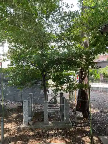 寿恵野神社(愛知県)