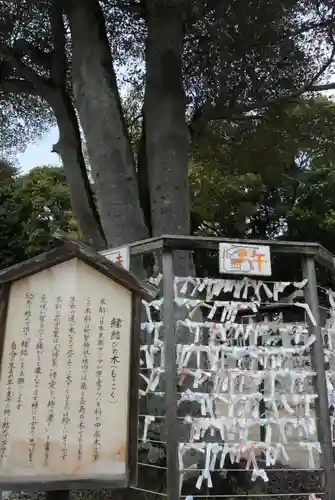 阿智神社のその他建物