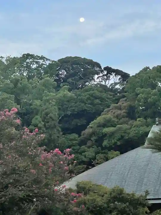 伊勢の国 四天王寺の自然