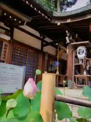 下高井戸八幡神社(東京都)