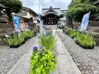 磐井神社の庭園