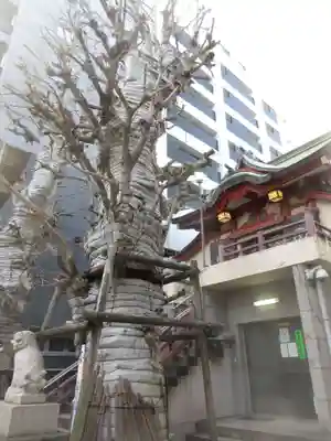 誕生八幡神社(東京都)