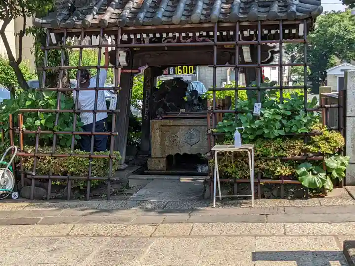 白山神社の手水舎