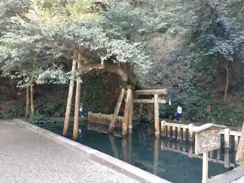 鹿島神宮(茨城県)