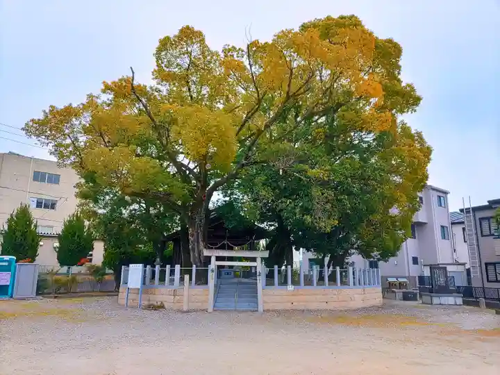 直会神社の自然