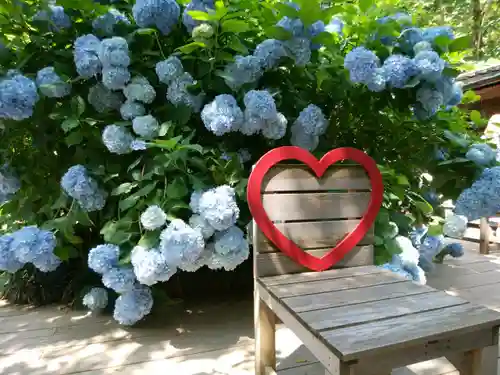 明月院(神奈川県)