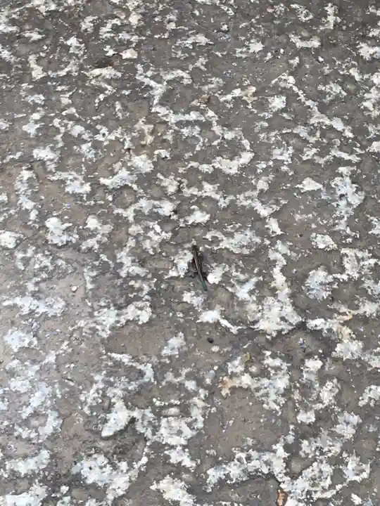 品川神社の動物