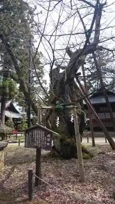 蠶養國神社のその他建物