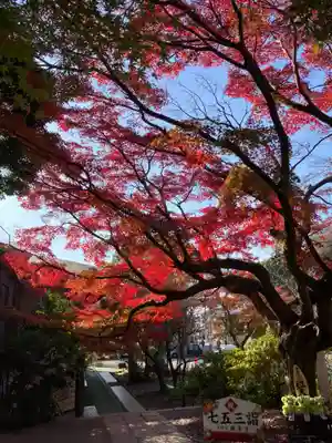 鎌倉宮(神奈川県)