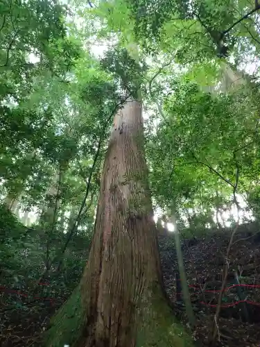 天岩戸神社(宮崎県)
