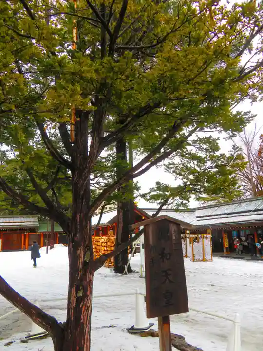 北海道神宮(北海道)