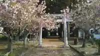 大杉神社の鳥居