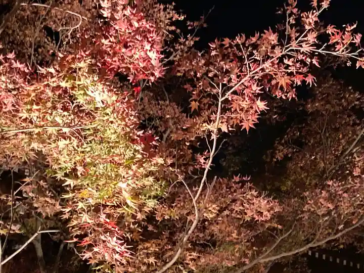 東漸寺(千葉県)