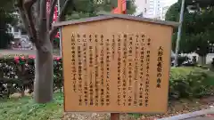 大須観音 （北野山真福寺宝生院）の歴史