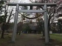 安国神社の鳥居