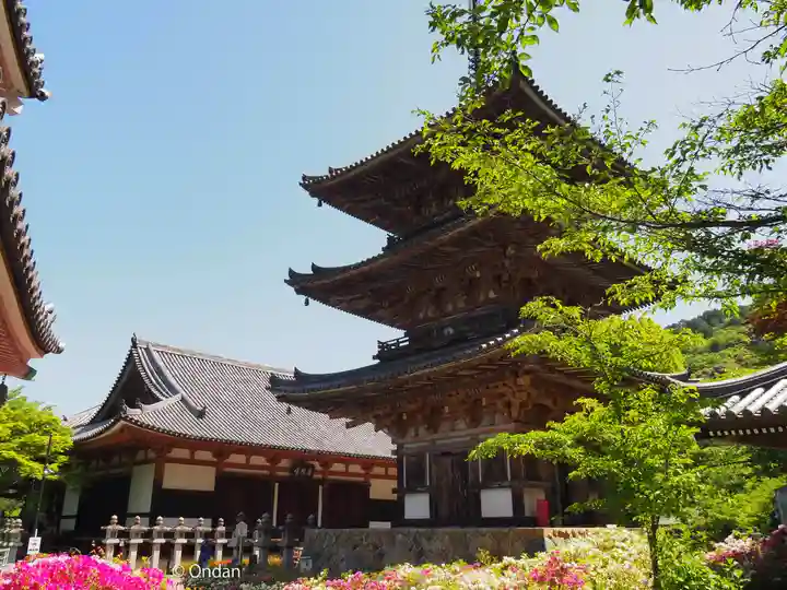 南法華寺(壷阪寺)(奈良県)