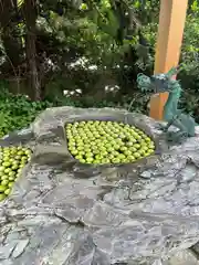 廣田神社～病厄除守護神～の手水