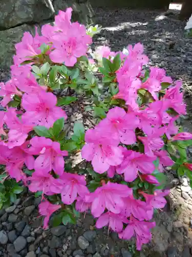 彌彦神社　(伊夜日子神社)の自然