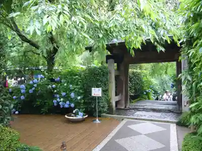 明月院の山門・神門