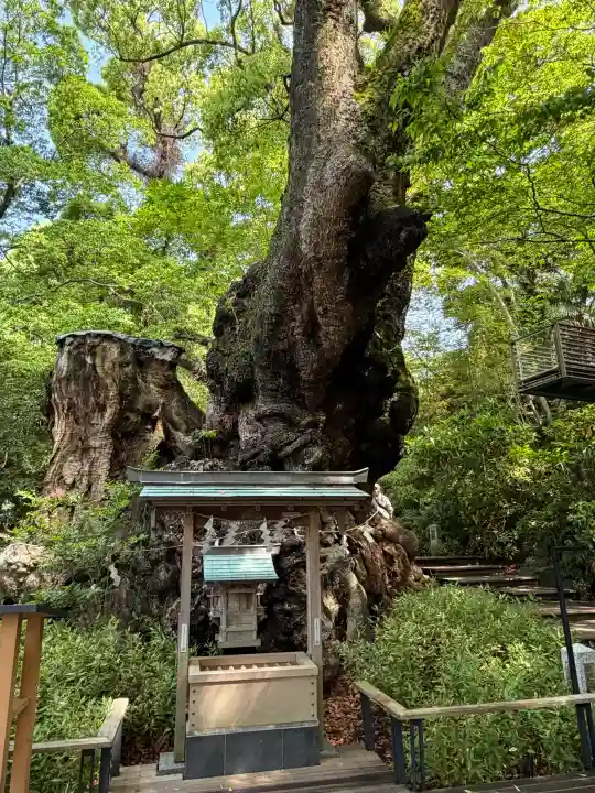 來宮神社の{uncategorized: "未分類", other: "その他", undefined: "問題あり", building: "その他建物", grave: "お墓", sacred_gate: "鳥居", guardian: "狛犬", statue: "像", buddha: "仏像", history: "歴史", nature: "自然", garden: "庭園", animal: "動物", pagoda: "塔", temizu: "手水舎", mountain_gate: "山門・神門", sanctuary: "本殿・本堂", subordinate: "末社・摂社", art: "芸術", scenery: "景色", jizo: "地蔵", ema: "絵馬", goshuin: "御朱印", omikuji: "おみくじ", items: "授与品その他", amulet: "お守り", goshuincho: "御朱印帳", eats: "食事", festival: "お祭り", votive_dance: "神楽", shichigosan: "七五三参", wedding: "結婚式", experience: "体験その他", initially: "初詣", around: "周辺", anti_infection: "感染症対策"}