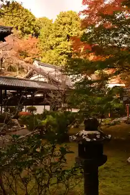 十輪寺(京都府)