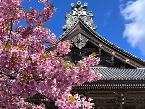 誕生寺(千葉県)