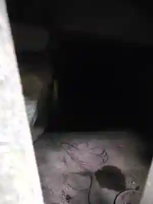 笹森稲荷神社(群馬県)