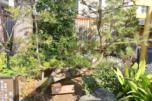 蛇窪神社(東京都)