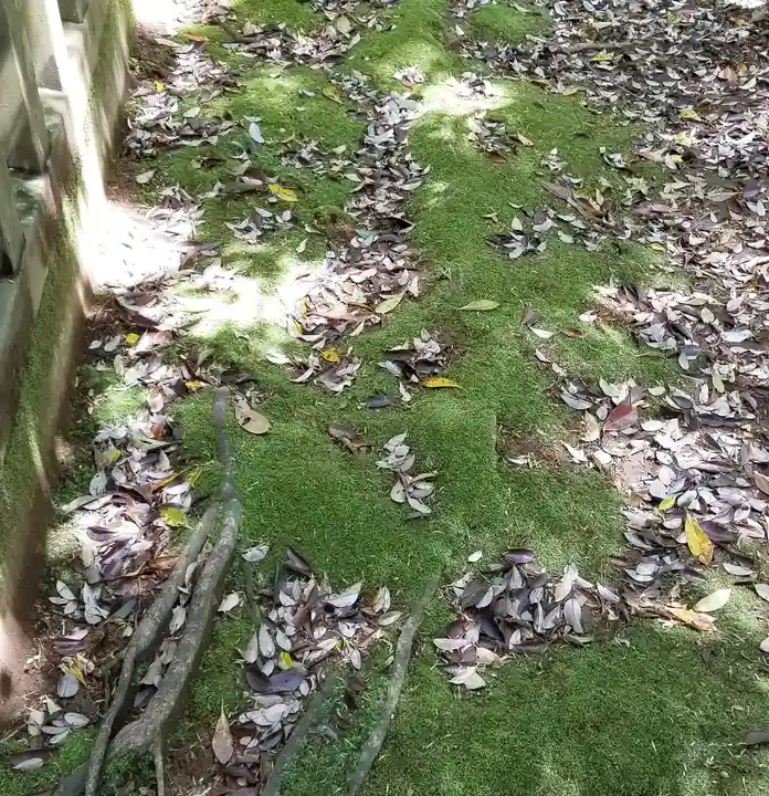 沼尾神社の自然