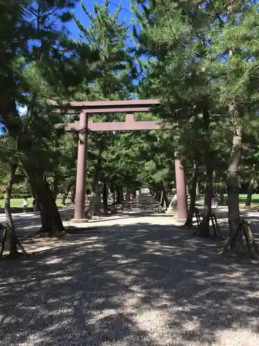 出雲大社の鳥居