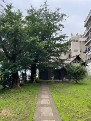 第六天神社の自然