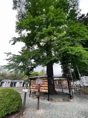 秋保神社(宮城県)