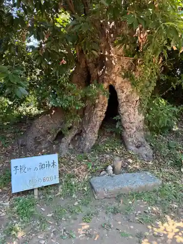 熊野神社(千葉県)