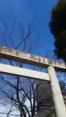 秋葉神社の建物その他