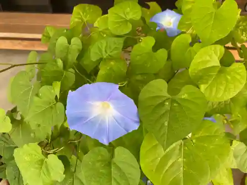 飛驒天満宮(岐阜県)