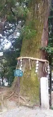 石山寺(滋賀県)