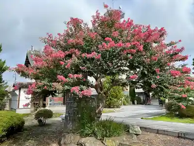 定願寺(栃木県)