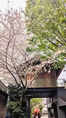 赤城神社の自然