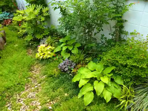 寿量山　速成寺の自然