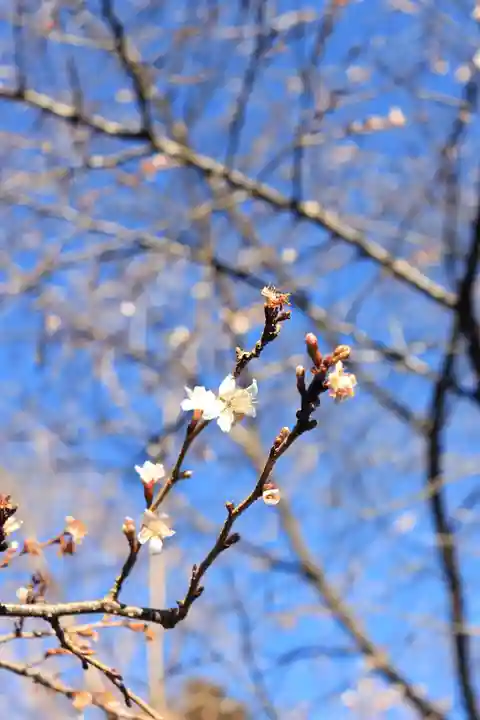 久遠寺(山梨県)