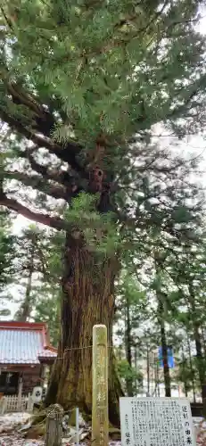 塩原八幡宮の周辺