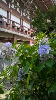  智積院(京都府)