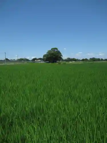 神明神社(千葉県)