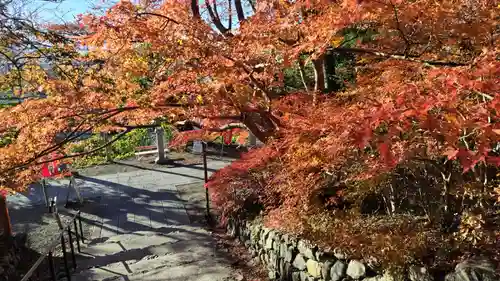 出雲大神宮の景色